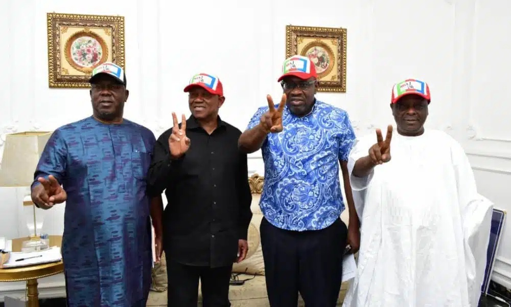 NDC Announces Date For NEC Meeting, Unveiling National Campaign Council
