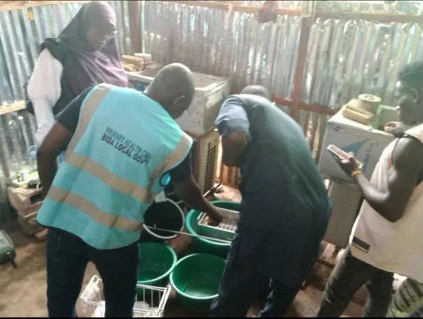 Niger LG shuts down ice cream factories after finding flies in mixtures