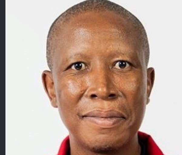 Julius Malema Five-Year Prison Case Takes New Turn After High Court Decision