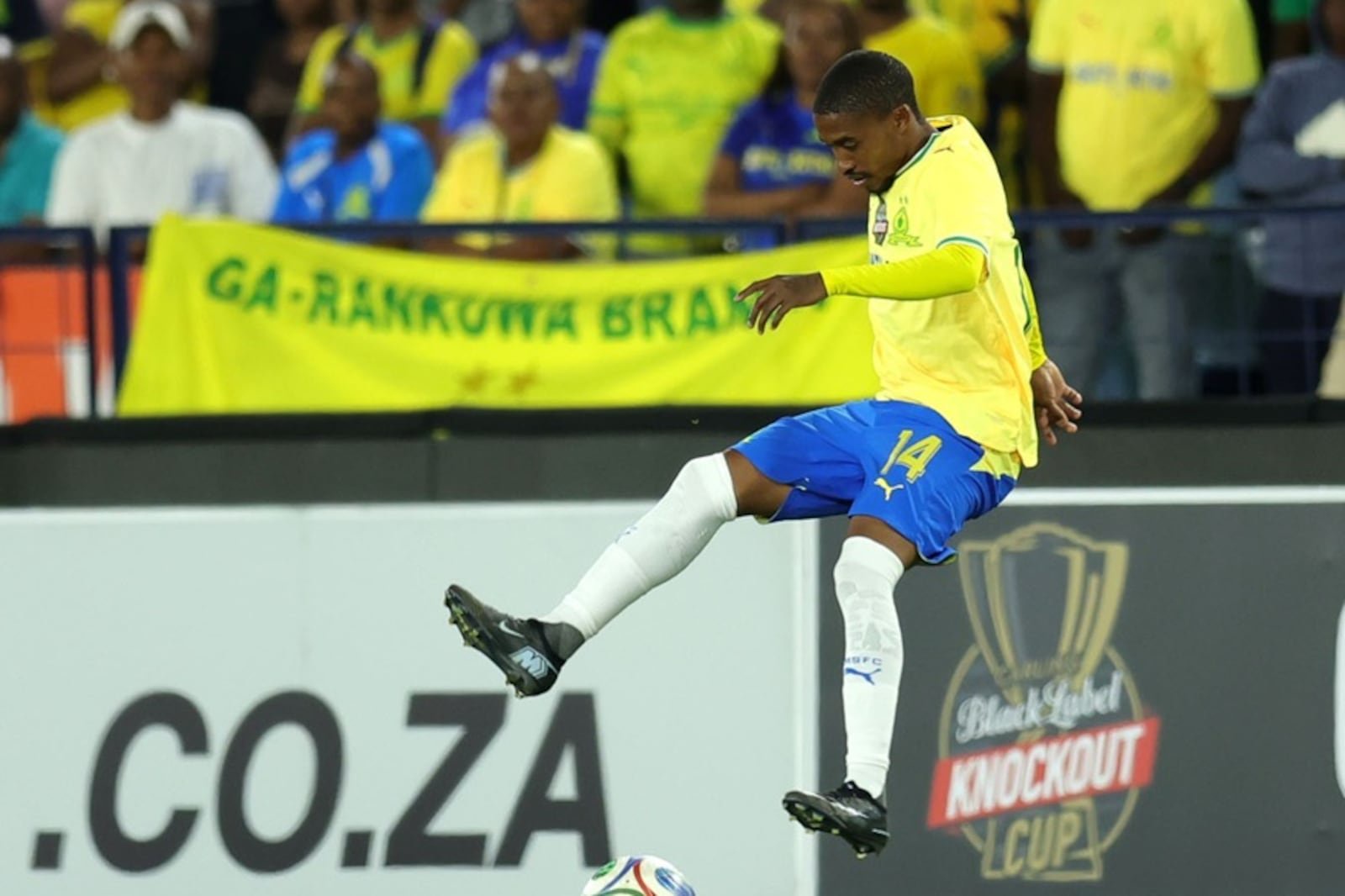 Cardoso says Sundowns’ forgotten Saleng will be given opportunities