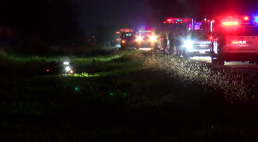 Two injured after tricycle crashes into deer
