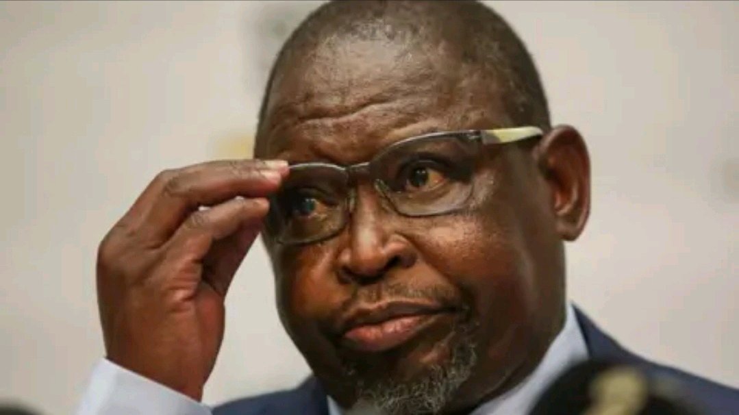 Godongwana Names Three Taxes Holding SA’s Economy Together—And Warns More Hikes Loom