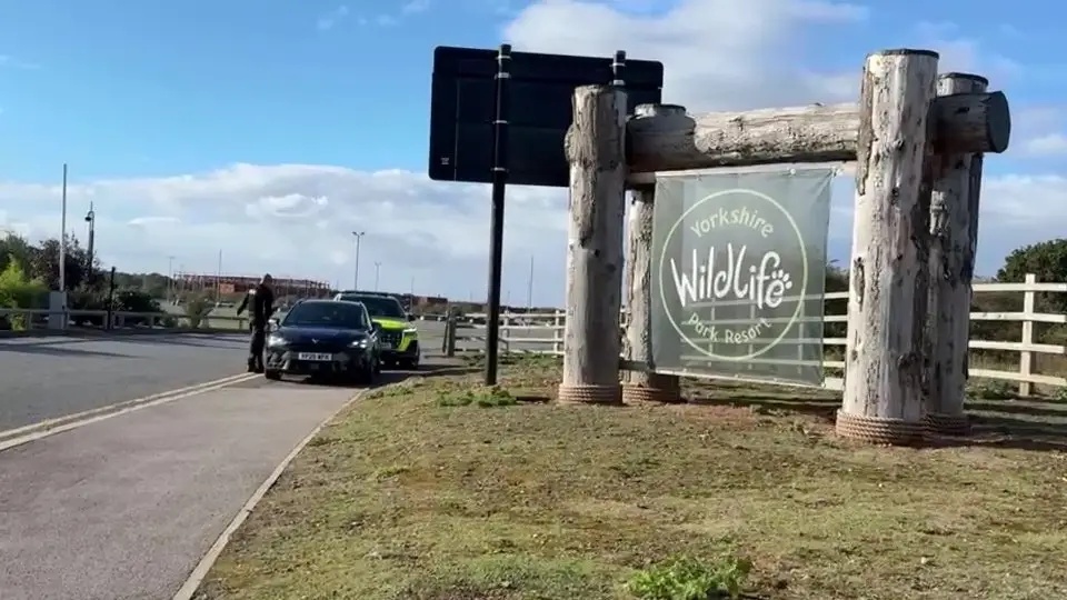 Police confirm man who entered tiger enclosure at Yorkshire Wildlife Park has died