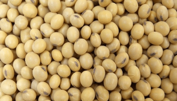 Nigeria loses agricultural exports to neighbours amid ban