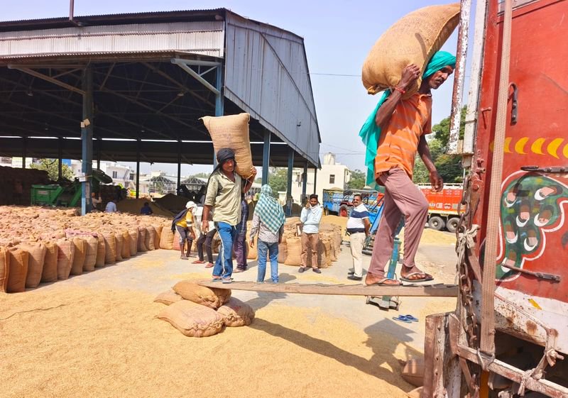 Paddy arrival in Punjab under watch as out-of-state grain lands in Jalalabad
