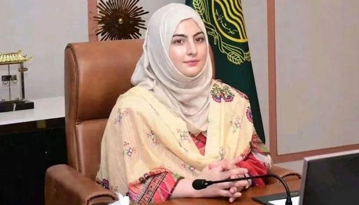 Husband of Rawalpindi ADC sent to jail in assault case