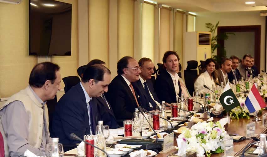 Pakistan, Netherlands discuss ways to boost investment