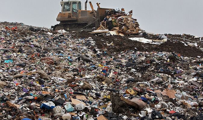 Taxpayers foot £15m bill to clean horror fly-tip in ancient woodland