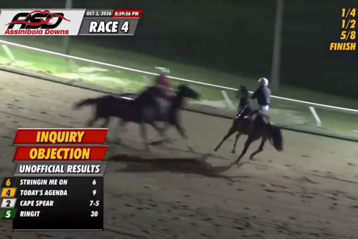 Horse suffers fatal injury after head-on collision with outrider after making winning debut