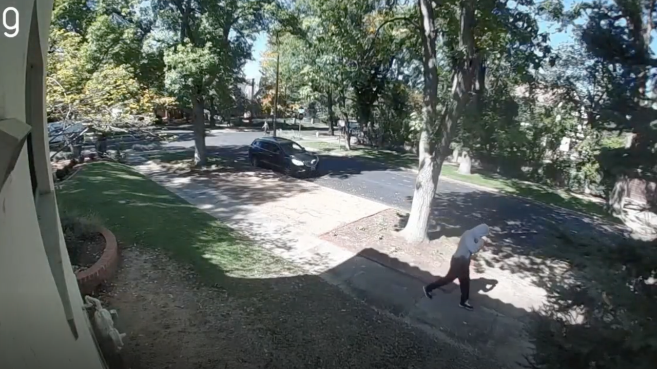 Suspect sought after USPS letter carrier robbed in Denver, $150,000 reward being offered