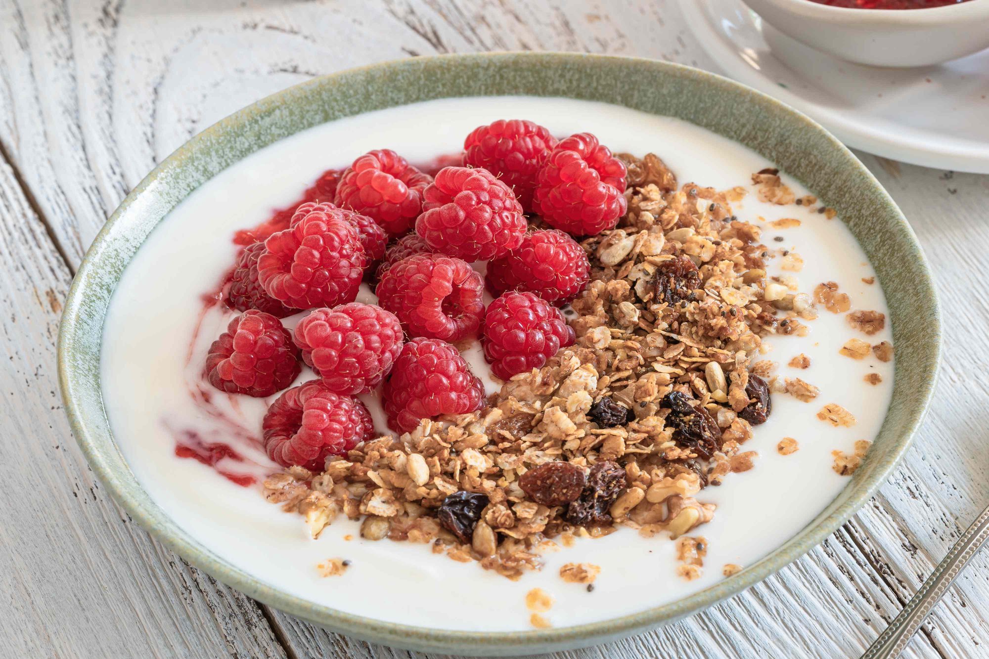 Greek Yogurt vs. Regular Yogurt: Which Is Better for Protein and Probiotics?