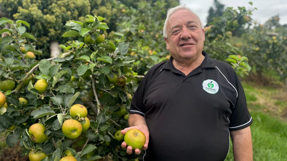 The Armagh apples connecting a rural community