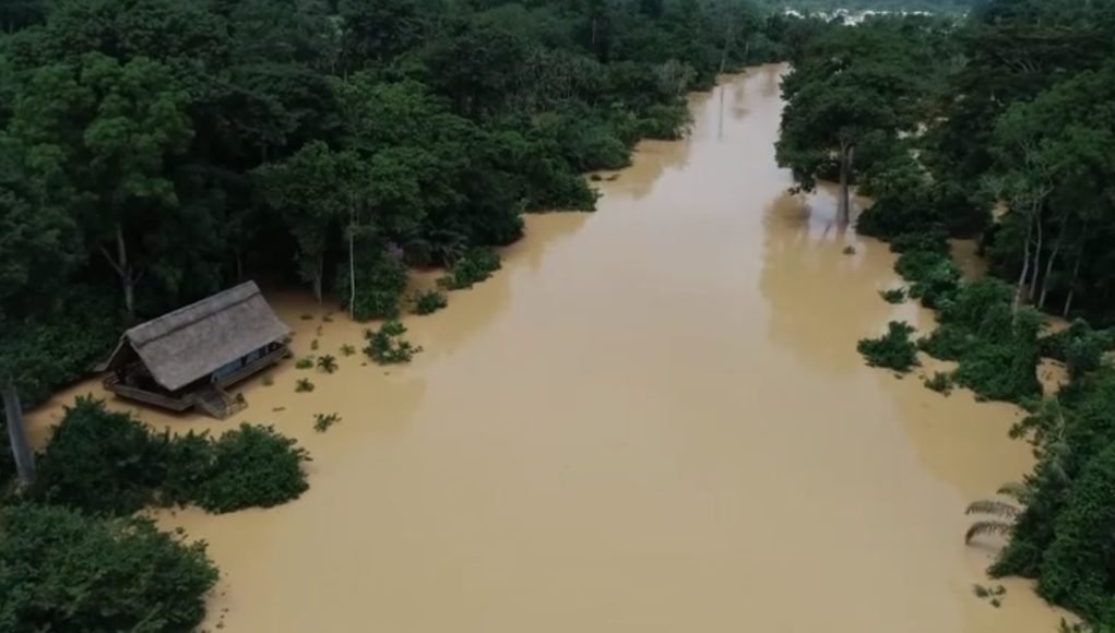 Samartex Timber and Plywood Company reels under galamsey as illegal miners cut into its operations and livelihoods