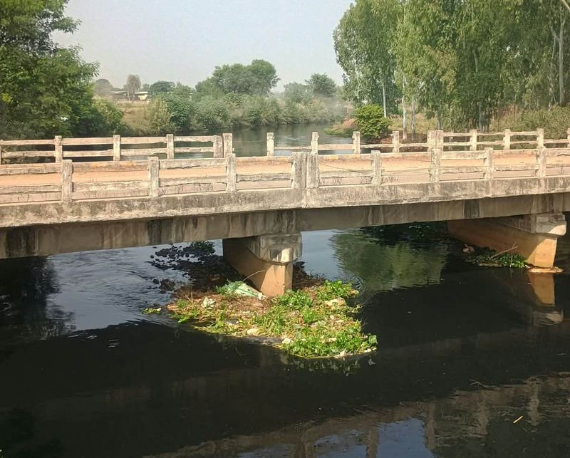PAC calls for restoration of Buddha Dariya, protection of Sutlej floodplains