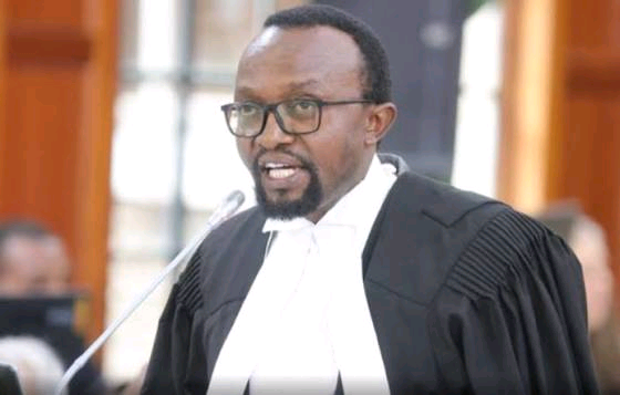 Lawyer Questions Who Will Pay for Bayern Munich and Ajax’s Visit to Kenya, Sparking Mixed Reactions