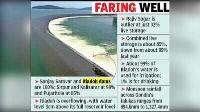 Silver lining for farmers as 5 Gondia dams almost full