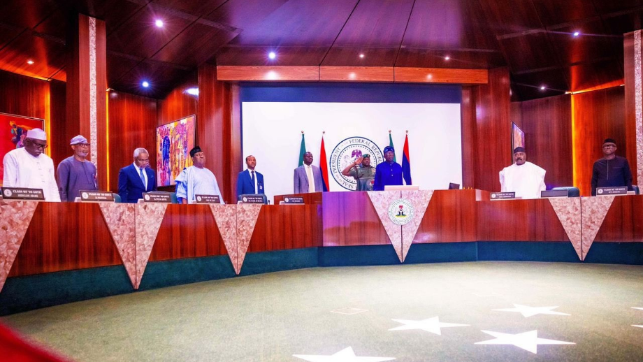 National Economic Council Endorses 90-Day Plan to Ease Hardship in Nigeria
