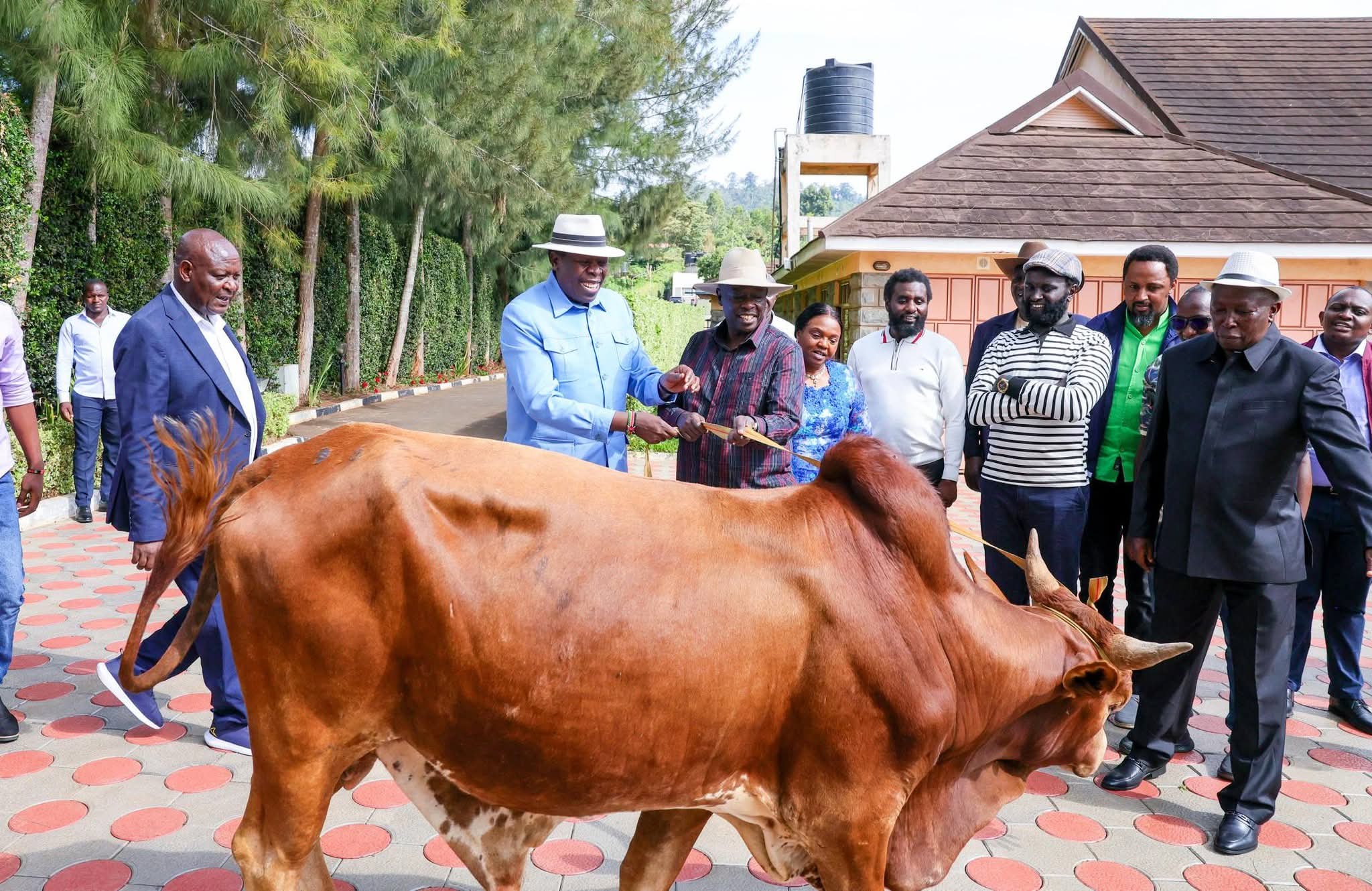 Eugene Wamalwa Gifts Gachagua With a Bull as DAP-K Leaders Storm Wamunyoro for Crucial Talks