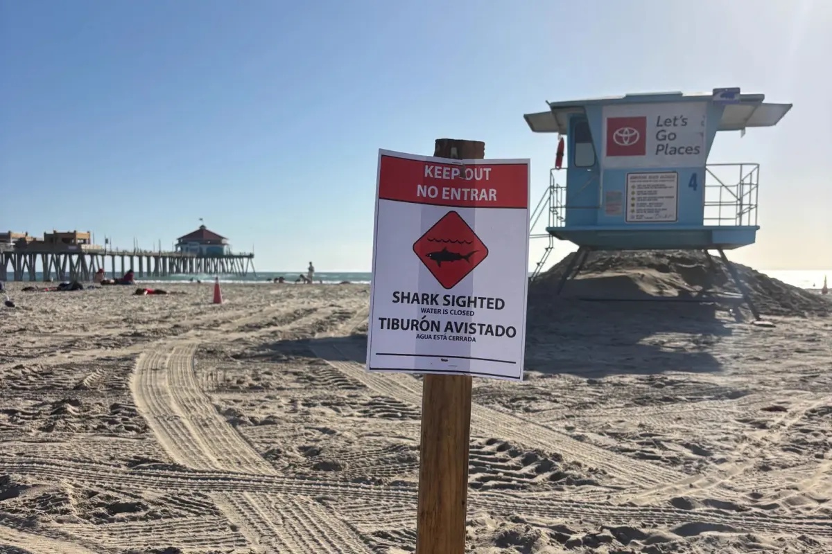‘Aggressive’ great white shark seen in waters off Huntington Beach. Keep out, officials say