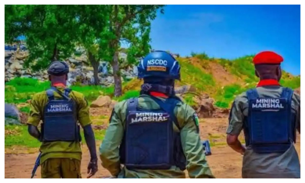 Niger miners’ deaths: I left them screaming till they died – NSCDC officer breaks down