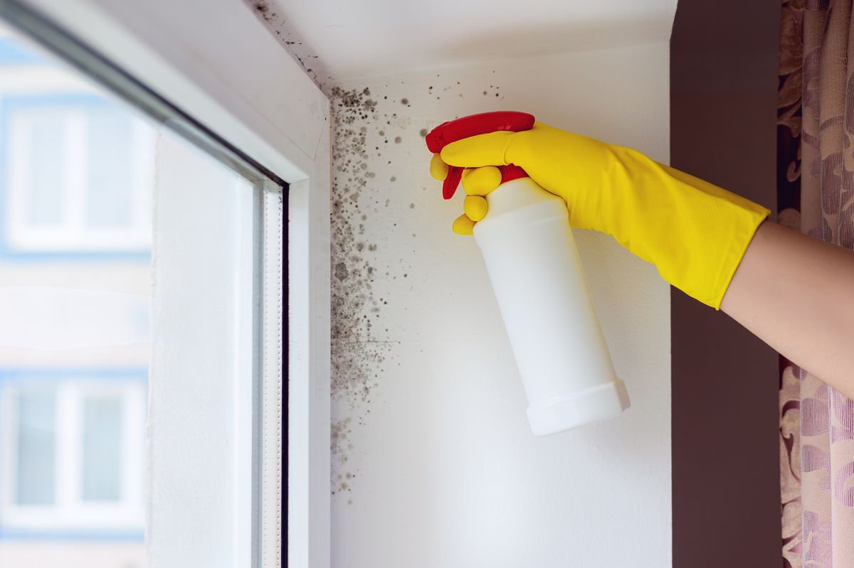 Which? experts share guide to reduce mould in homes without a dehumidifier