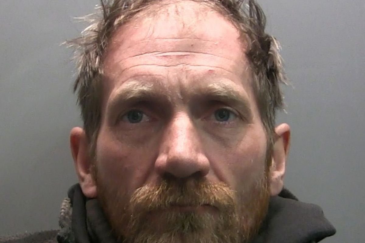 Second Sycamore Gap yob freed after serving less than half his sentence