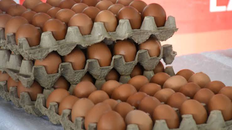 Egg crisis hits Kampala: Soaring prices force bakers, street vendors into ‘shrinkflation’