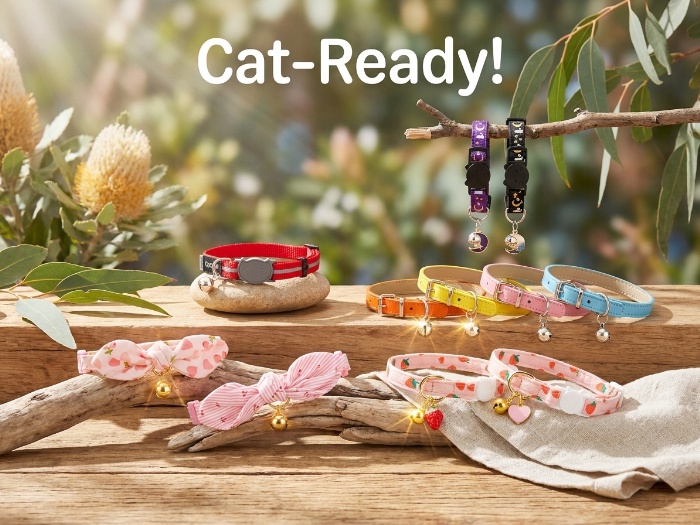 Smart, safe, and stylish: cat collars we love right now
