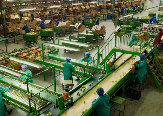141 companies pledge R548bn in Special Economic Zone investments