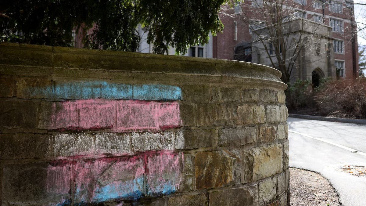 Daughters of the American Revolution axes chapter that challenged transgender membership