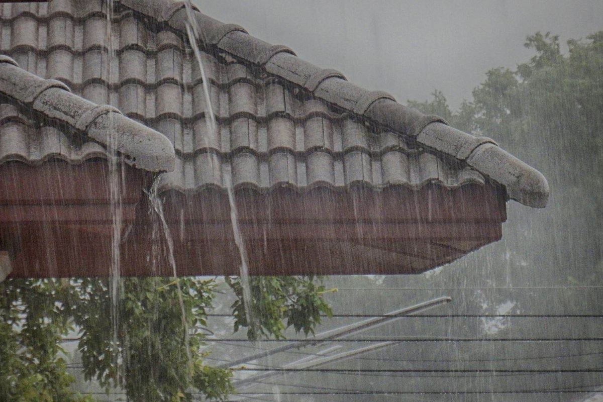 WEATHER: Rain expected to hit FIVE provinces