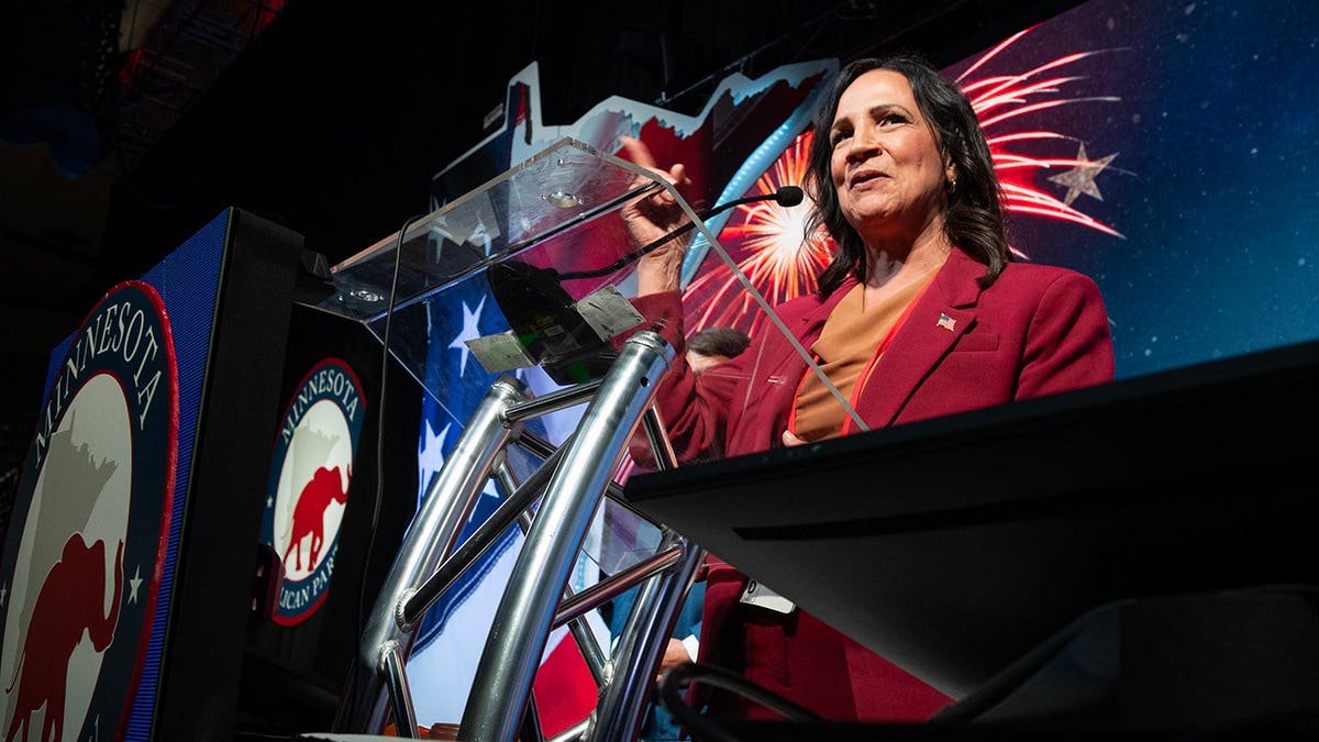 Minnesota GOP chair blasts progressive group over KKK-themed sign shown during Black House speaker’s remarks