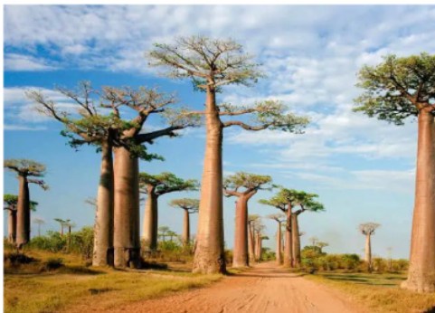 Here Are 6 African Countrys That Are Richer Than South Africa