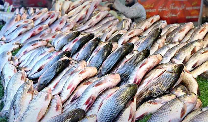 Pakistan seafood exports jump 74% in first quarter