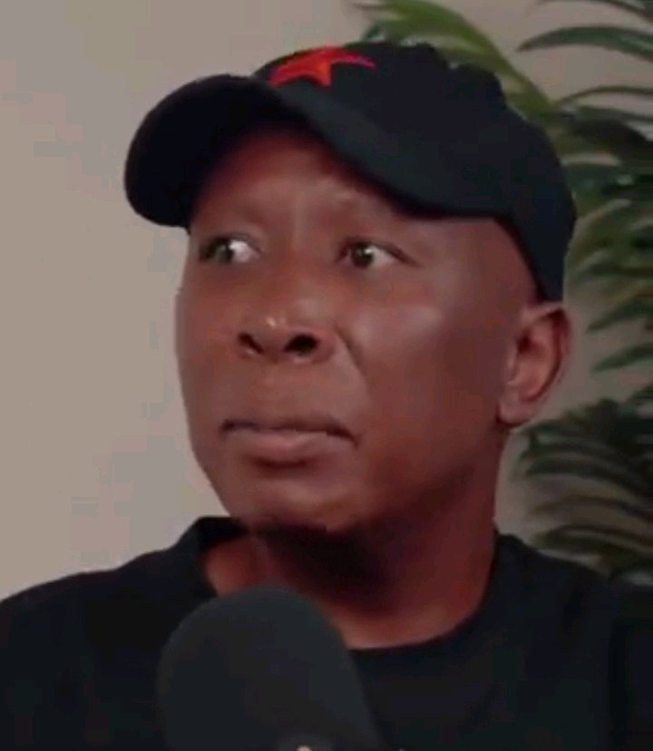 “I Don’t Care About Foreigners Who Commit Crimes” Malema’s Blunt Message Rocks Mzansi