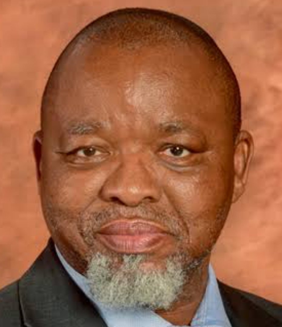 ‘I Don’t Know What To Apologise For” Gwede Mantashe Responds To ANCWL Backlash, Check Out