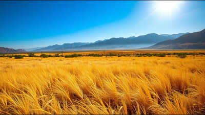 This Arizona ranch spans 114,000 acres and has stayed with one family for nearly 80 years; now it is listed for $43 million