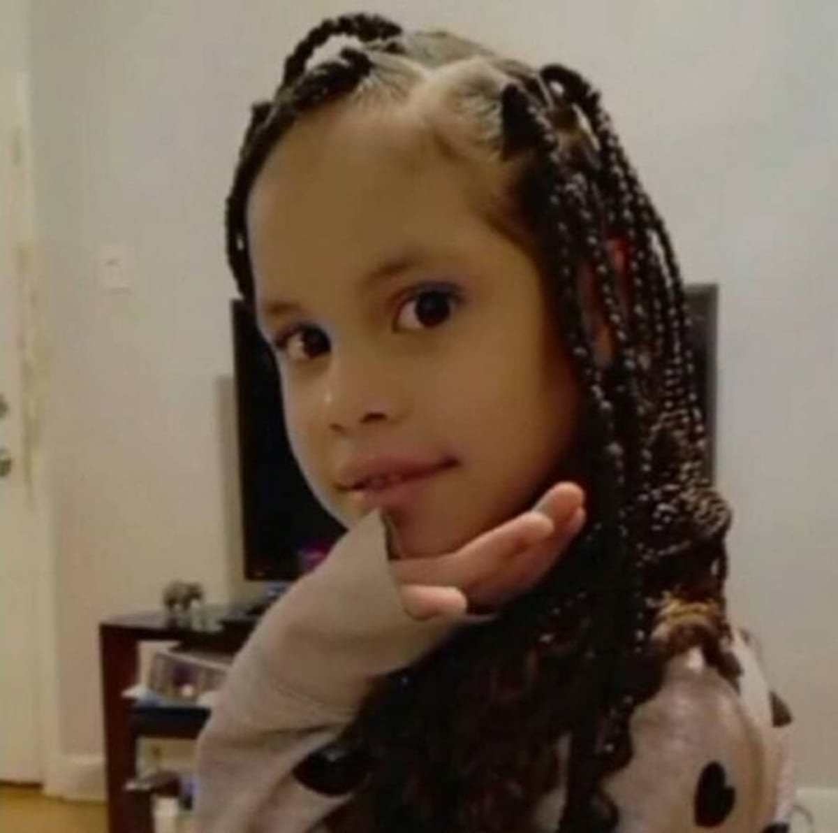 Girl, 7, dies after being stabbed in back on Chicago sidewalk as woman in custody