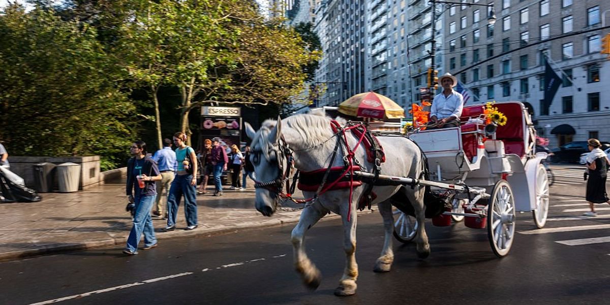 New York City to ban horse-drawn carriage after Zohran Mamdani backs plans