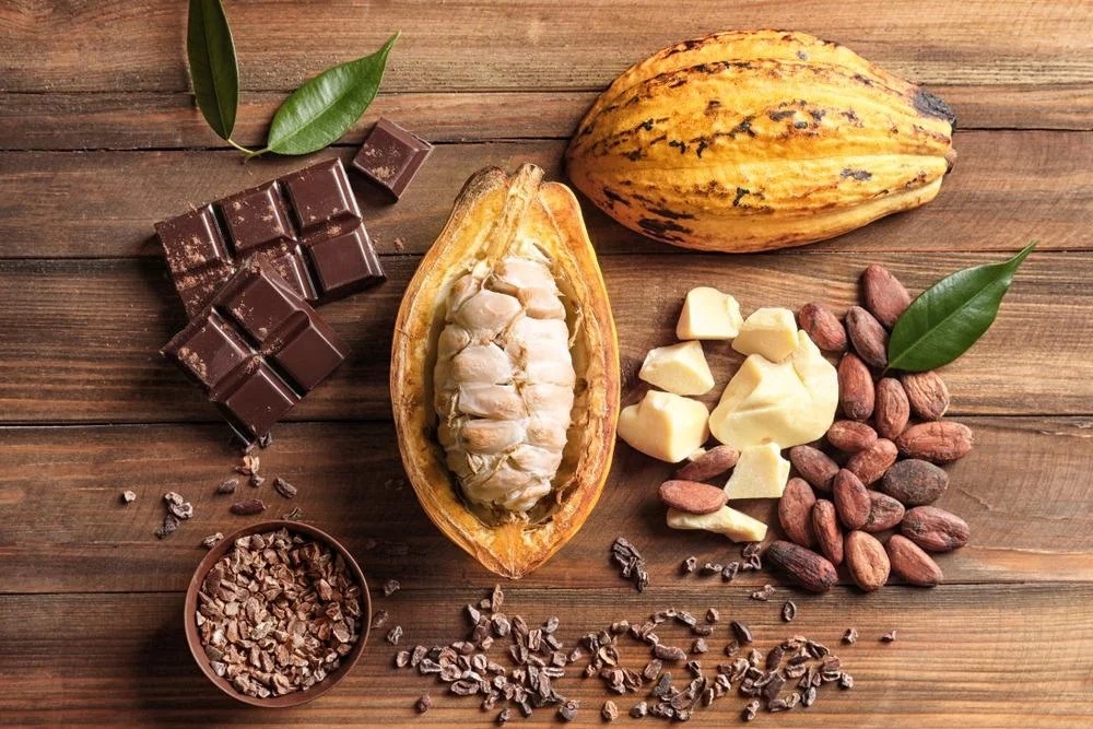7 Surprising Benefits of Drinking Cocoa Every Day