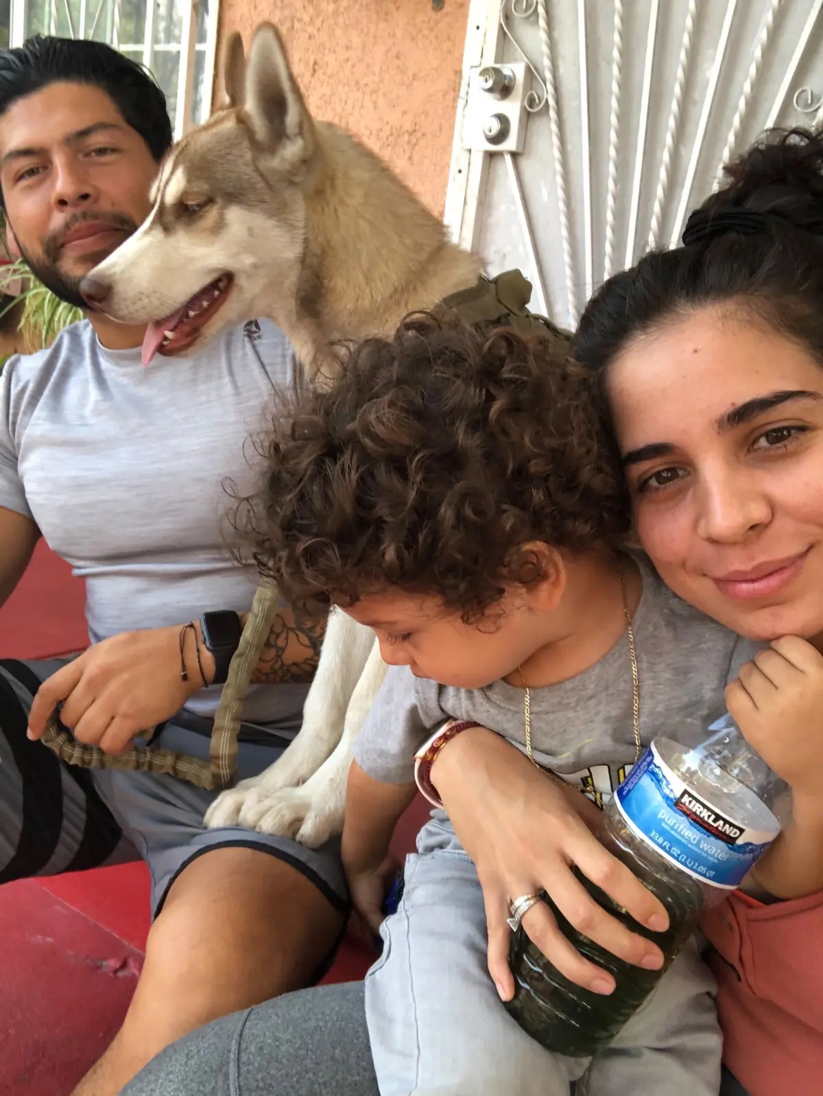 Owner says beloved husky is found hanged in Lynwood; investigation underway