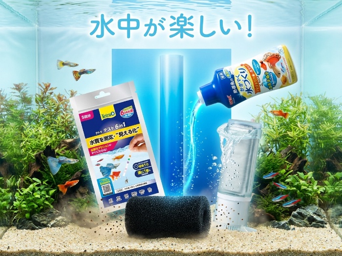 水槽をもっと楽しく！最新アクセサリで水中ライフを満喫