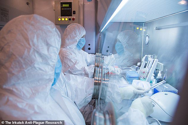 How plague really kills you: Hour-by-hour, the gruesome countdown from infection to total organ failure… and crucial window for life-saving treatment