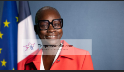 France’s Ambassador to Ghana responds to questions about her loyalty over Senegalese roots
