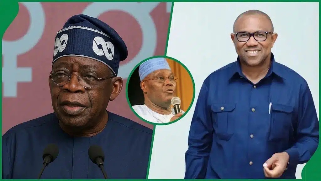 We’ll Politically Retire Atiku And His Lying Brother Peter In January – Presidency Vows