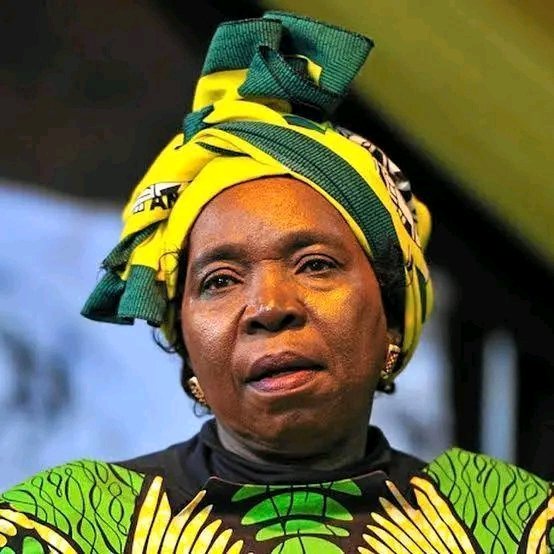 NDZ Scores Big Court Win Over Mbalula – Then Fires Warning Shot at ANC Money Politics