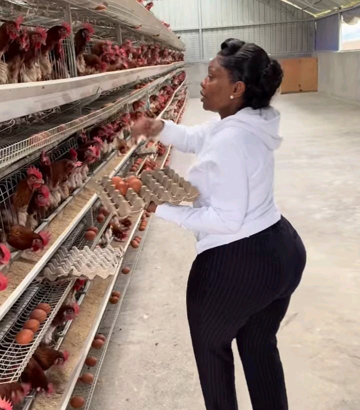 Millicent Omanga Draws Attention After Sharing Video of Herself Collecting Eggs at Poultry Farm
