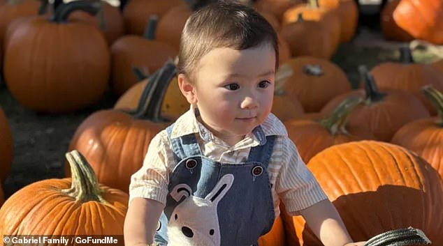 Tragedy as adorable boy, 2, is run over and killed while picking pumpkins with his family