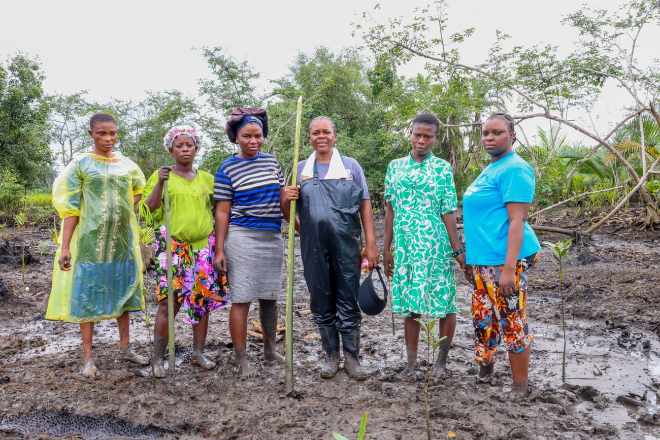 One green shoot at a time: the women restoring mangrove forests in the oil-ravaged Niger delta
