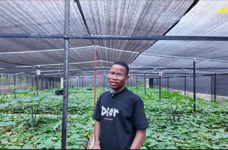 Australian investor builds largest climate-smart snail farm in Ghana